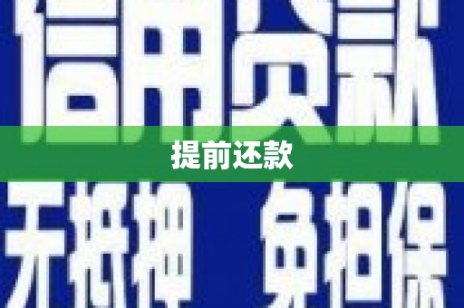 澜沧提前还款