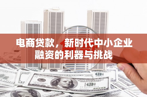 澜沧电商贷款，新时代中小企业融资的利器与挑战