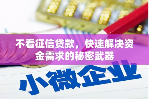 澜沧不看征信贷款，快速解决资金需求的秘密武器