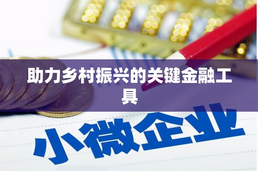 澜沧助力乡村振兴的关键金融工具