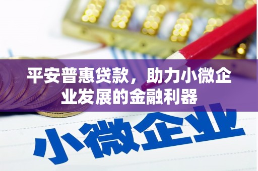 澜沧平安普惠贷款，助力小微企业发展的金融利器