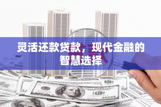 澜沧灵活还款贷款，现代金融的智慧选择