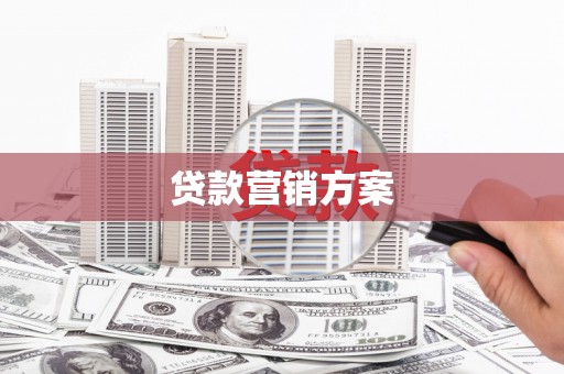 澜沧贷款营销方案