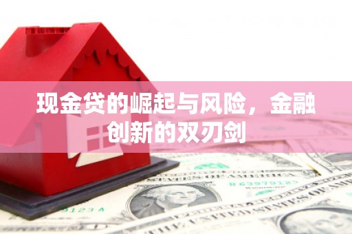 澜沧现金贷的崛起与风险，金融创新的双刃剑