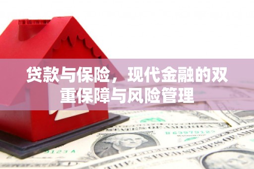 澜沧贷款与保险，现代金融的双重保障与风险管理