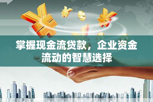 澜沧掌握现金流贷款，企业资金流动的智慧选择