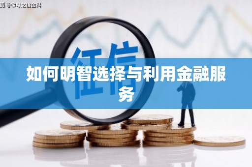 澜沧如何明智选择与利用金融服务