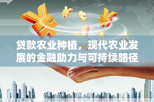 澜沧贷款农业种植，现代农业发展的金融助力与可持续路径