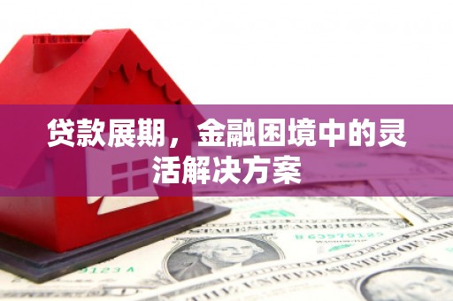 澜沧贷款展期，金融困境中的灵活解决方案