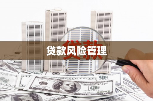 澜沧贷款风险管理
