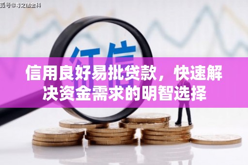 澜沧信用良好易批贷款，快速解决资金需求的明智选择