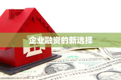 澜沧企业融资的新选择