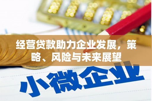 澜沧经营贷款助力企业发展，策略、风险与未来展望