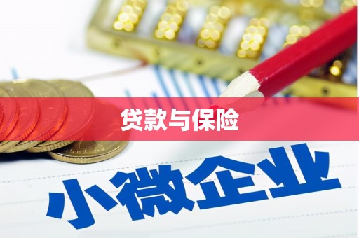 澜沧贷款与保险