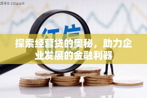 澜沧探索经营贷的奥秘，助力企业发展的金融利器