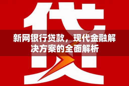 澜沧新网银行贷款，现代金融解决方案的全面解析