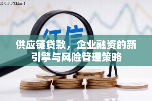澜沧供应链贷款，企业融资的新引擎与风险管理策略
