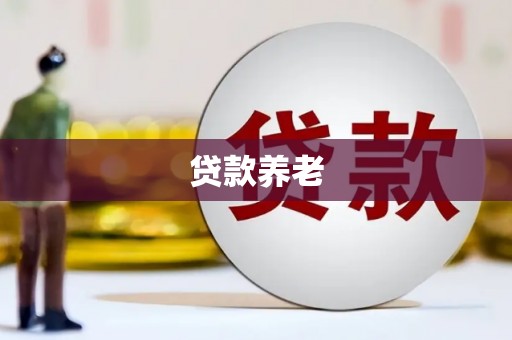 澜沧贷款养老