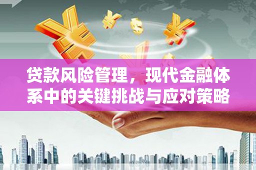 澜沧贷款风险管理，现代金融体系中的关键挑战与应对策略