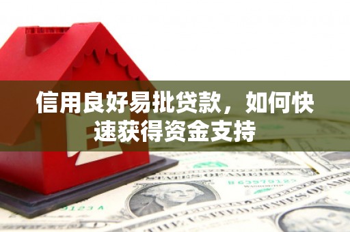 澜沧信用良好易批贷款，如何快速获得资金支持