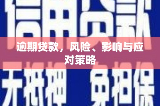 澜沧逾期贷款，风险、影响与应对策略