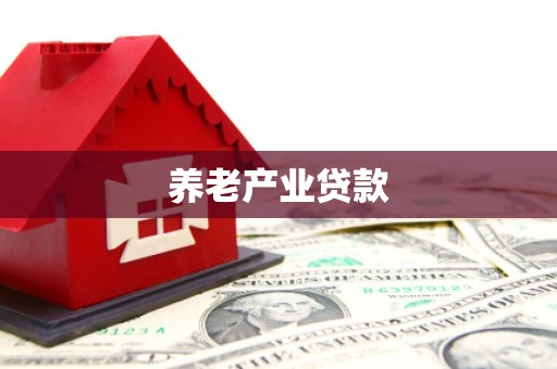 澜沧养老产业贷款