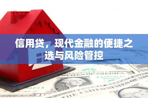 澜沧信用贷，现代金融的便捷之选与风险管控