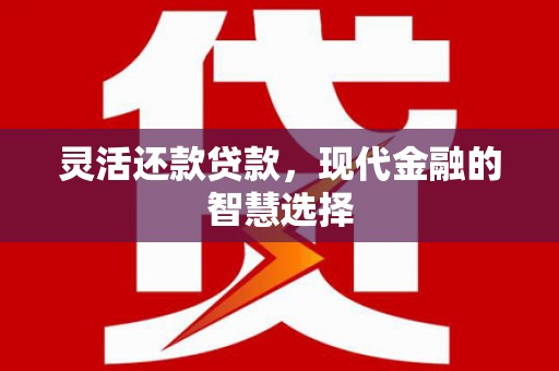 澜沧灵活还款贷款，现代金融的智慧选择