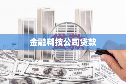 澜沧金融科技公司贷款