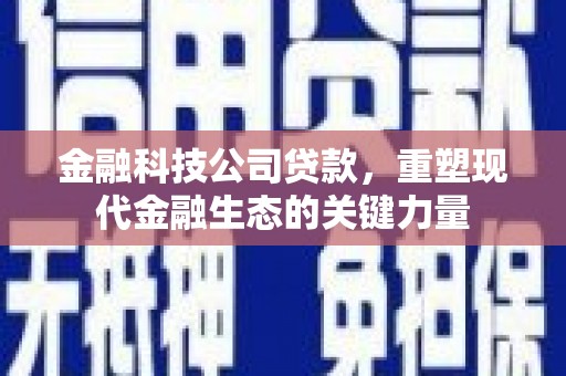 澜沧金融科技公司贷款，重塑现代金融生态的关键力量