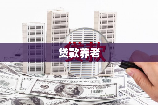 澜沧贷款养老