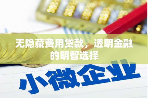 澜沧无隐藏费用贷款，透明金融的明智选择