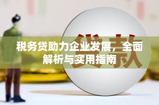 澜沧税务贷助力企业发展，全面解析与实用指南