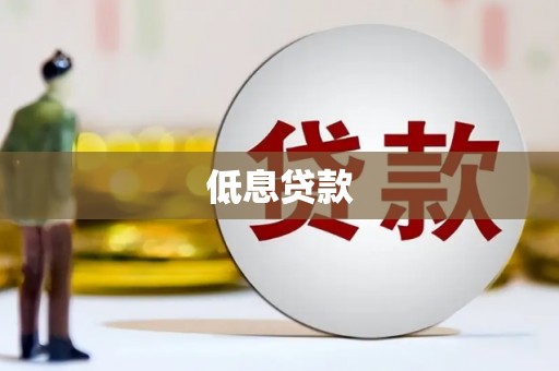 澜沧低息贷款