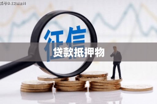 澜沧贷款抵押物