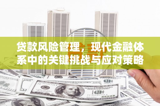 澜沧贷款风险管理，现代金融体系中的关键挑战与应对策略