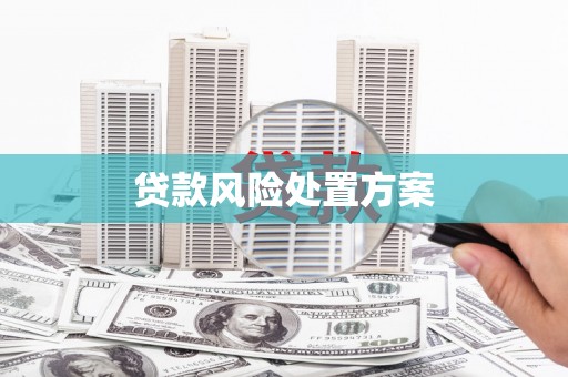 澜沧贷款风险处置方案