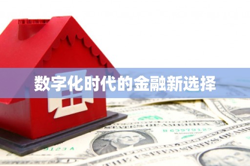 澜沧数字化时代的金融新选择