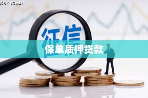 澜沧保单质押贷款