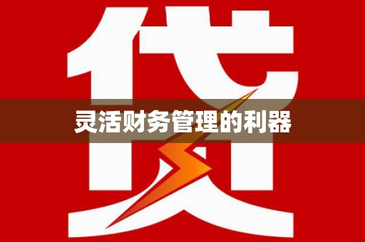 澜沧灵活财务管理的利器
