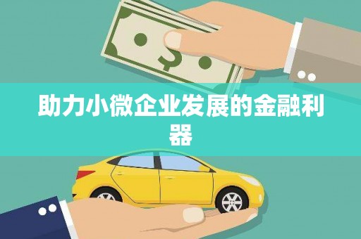 澜沧助力小微企业发展的金融利器
