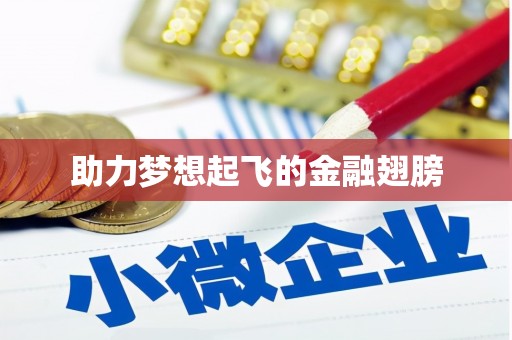 澜沧助力梦想起飞的金融翅膀
