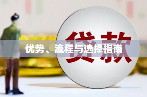 澜沧优势、流程与选择指南