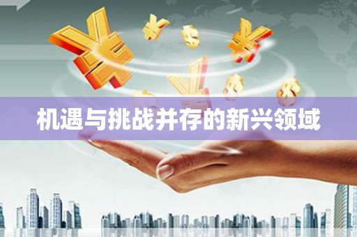 澜沧机遇与挑战并存的新兴领域