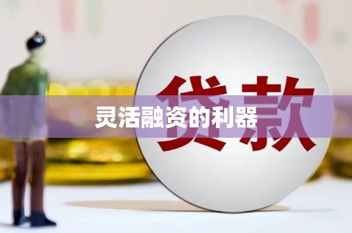 澜沧灵活融资的利器