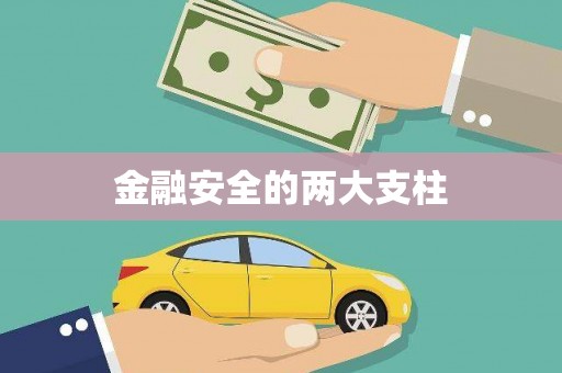 澜沧金融安全的两大支柱