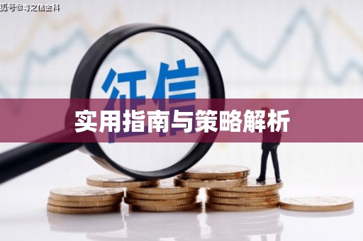 澜沧实用指南与策略解析