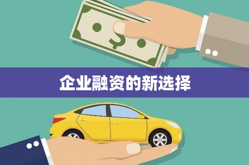澜沧企业融资的新选择