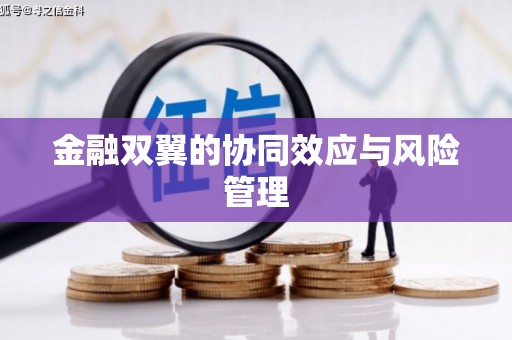 澜沧金融双翼的协同效应与风险管理