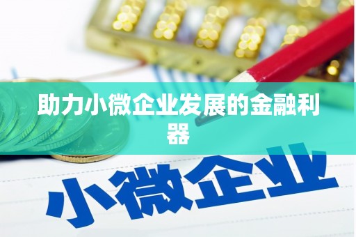 澜沧助力小微企业发展的金融利器